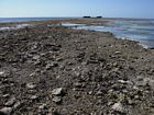 Overview of the Rubble Zone at the reef crest. Rubble consists of coral debris redistributed by storms. Wreck in the background is a decomissioned WWII vessel.